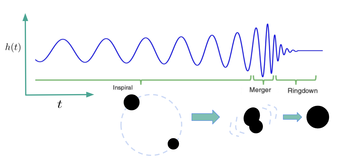 Steps in a binary black hole merger.